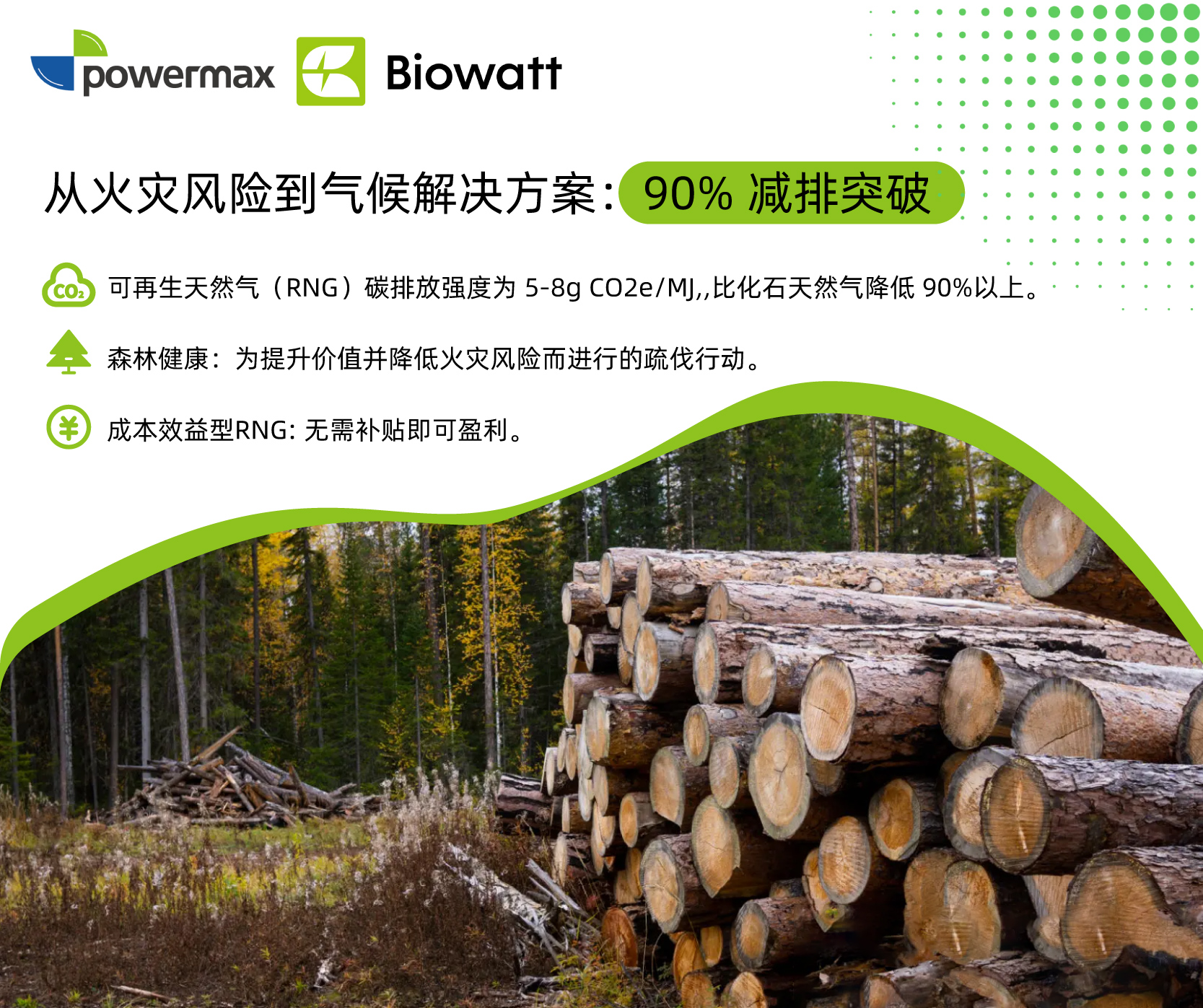 生物质气化,森林残材气候解决方案,野火风险降低.jpg