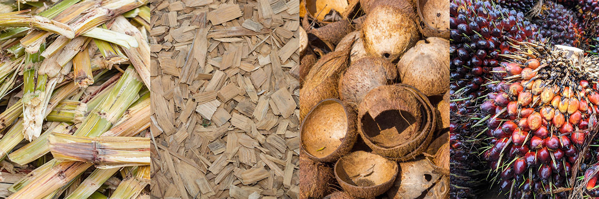 甘蔗渣木片椰壳棕榈.jpg