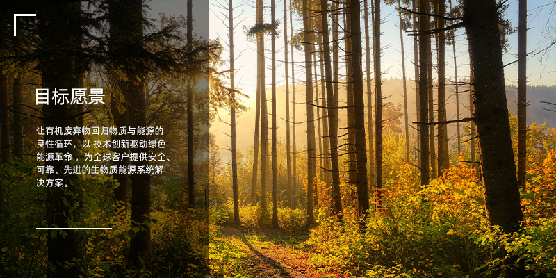 企业文化2目标愿景.jpg